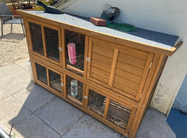 4 beautiful guine Girls and new hutch