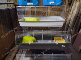 Rabbit/guinea pig cages