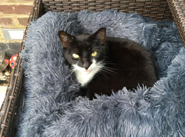 BINX looking for new home
