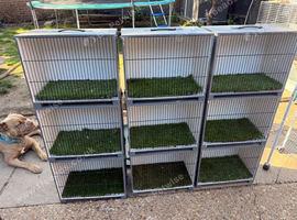 Travel show cages