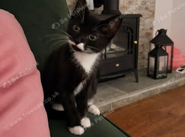 Young girl needing a loving home