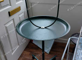 Bird stand