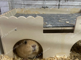 2 teddy bonded girls