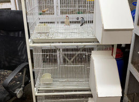 3 breeding cages with nest box&rsquo;s