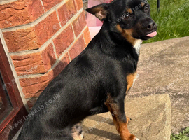 Max age 5 months ish