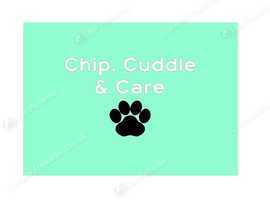Mobile Microchipping for litters, dogs, cats, rabbits & ferrets