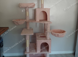 Pink cat tree
