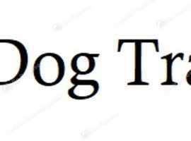 Professional Dog Trainers in Essex