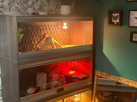vivexotic plus vivarium x2