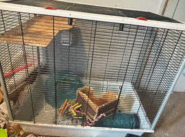 Rat cage