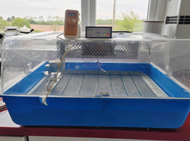 Fiam Incubator