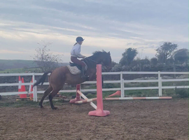 15'2 allrounder