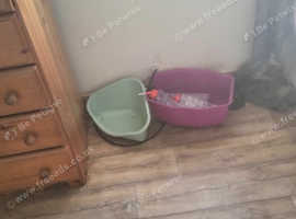 two rabbit cages for sale