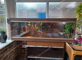 Vivarium 4 foot with electrics