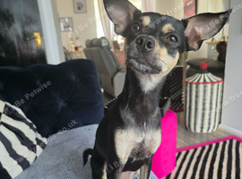 Rehoming my little girl