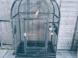 Bird/Parrot Cage