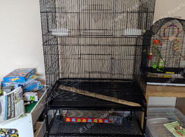 Large bird cage