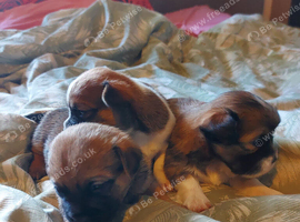 2 beautiful boys