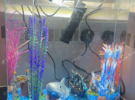 25L Fish Tank