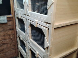 Brand new block of hutches
