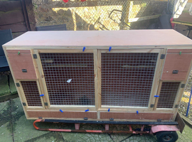 Bird flight cage for sale