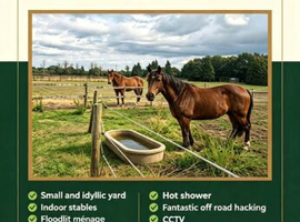 Livery vacancy available