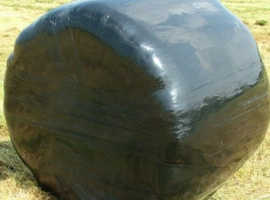6 Haylage Bales from 2025 first cut
