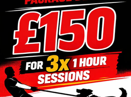 Limited time offer