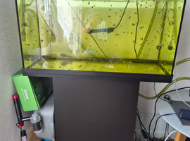 Tetra fishtank and stand