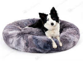 Pet Top Quality Products