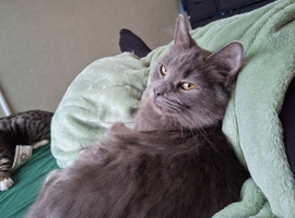 Mancoon cross