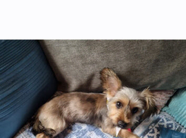 Coco