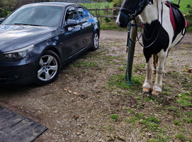 13.3 native cob for full loan