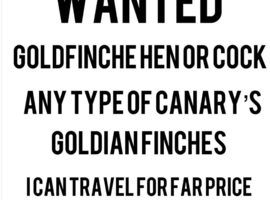 Canary&rsquo;s wants all types