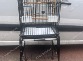 Bird cage for sale