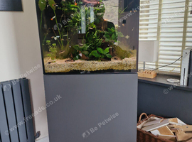 Fish tank and more