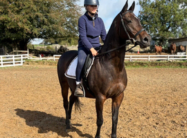 15hh ,15yr old school mistress