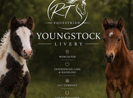 Youngstock Livery