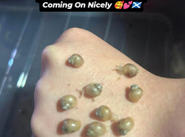 Jadatzi Albino Baby African Land Snails For Sale