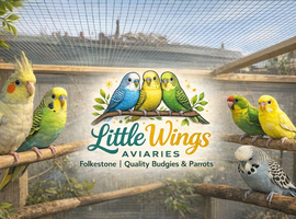 Bird Keeper Offering Safe, Loving Homes