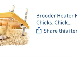 Chick heat plate