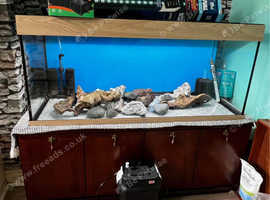 Fish Tank