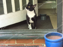 Black and white male