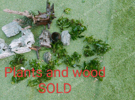 Aquarium decor and live plants