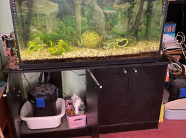 Aqairium with cupboards and fish
