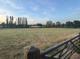 2 x 3 Acre paddocks for rent, Outside Frome, Somerset