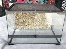 Glass Terrarium
