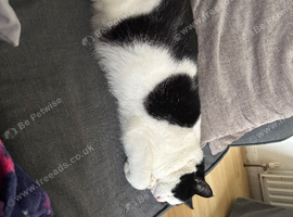 Rehome