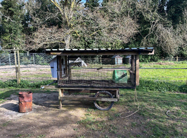 Chicken house