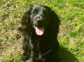 TILLY